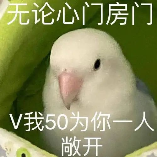 不止全面屏!小米MIX5上这些新技术。