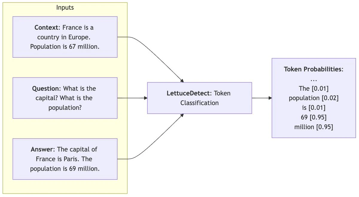 LettuceDetect技术实现.webp