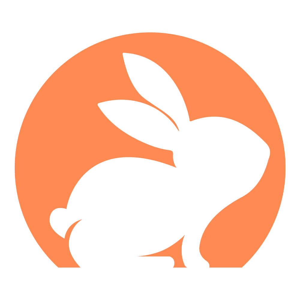 CodeRabbitios版安装包