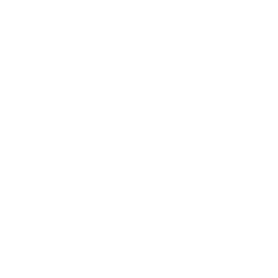悟道大模型pad版