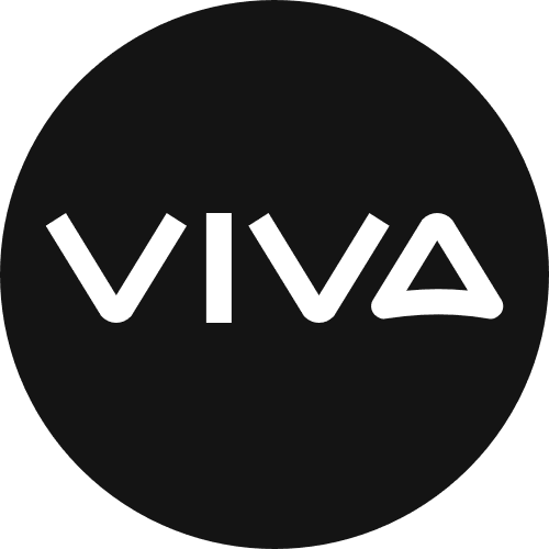 ViVaAI精简版老版