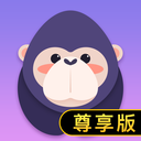 硬汉视频官网在线观看