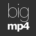 Bigmp4极速版