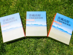 我国科学家绘制青藏高原高精度草地植被图，利用AI攻克识别难题