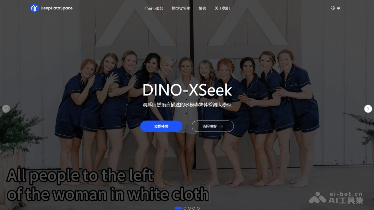 DINO-XSeek-IDEA 研究院推出的多模态目标检测模型