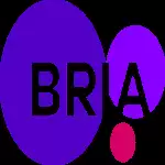 Bria.ai2025老版本