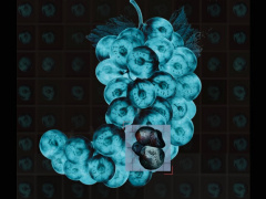 阿里达摩院联合发布全球首个胃癌影像筛查AI模型DAMOGRAPE