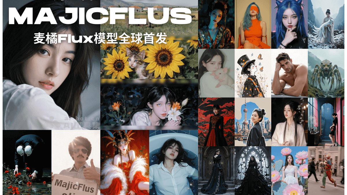 麦橘超然-麦橘推出的AI文生图模型，基于 Flux.1 架构