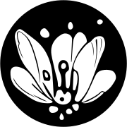 PollinationsAIpc端旧版本