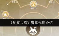 《星痕共鸣》臂章作用介绍