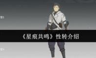《星痕共鸣》性转介绍