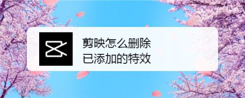 剪映怎么去* 剪映怎么删除已添加的*方法
