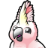 CockatooAIApp下载安装