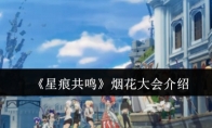 《星痕共鸣》烟花大会介绍
