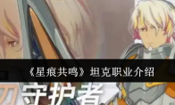 《星痕共鸣》坦克职业介绍