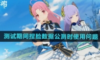 《星痕共鸣》测试期间捏脸数据公测时使用问题介绍