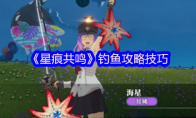 《星痕共鸣》钓鱼攻略技巧