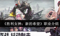 《胜利女神：新的希望》职业介绍