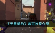 《无畏契约》盖可技能介绍