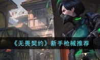 《无畏契约》新手枪械推荐