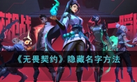 《无畏契约》隐藏名字方法