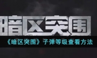 《暗区突围》子弹等级查看方法