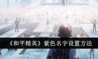 《和平精英》紫色名字设置方法