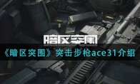 《暗区突围》突击步枪ace31介绍