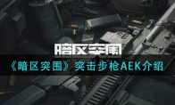 《暗区突围》突击步枪AEK介绍