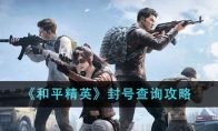 《和平精英》封号查询攻略