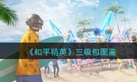 《和平精英》三级包图鉴