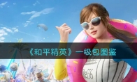 《和平精英》一级包图鉴