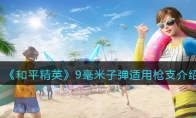 《和平精英》9毫米子弹适用枪支介绍