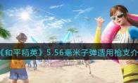 《和平精英》5.56毫米子弹适用枪支介绍