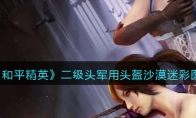 《和平精英》二级头军用头盔沙漠迷彩图鉴