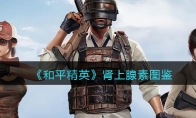 《和平精英》肾上腺素图鉴