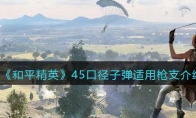 《和平精英》45口径子弹适用枪支介绍