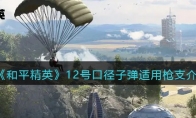 《和平精英》12号口径子弹适用枪支介绍