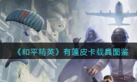《和平精英》有篷皮卡载具图鉴