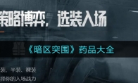 《暗区突围》药品大全