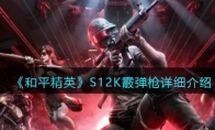 《和平精英》S12K霰弹枪详细介绍