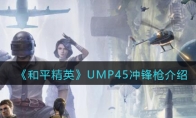 《和平精英》UMP45冲锋枪详细介绍