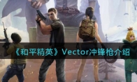 《和平精英》Vector冲锋枪详细介绍