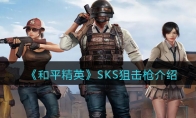 《和平精英》SKS狙击枪详细介绍