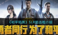 《和平精英》SLR狙击枪介绍
