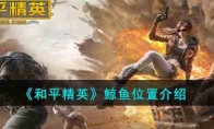 《和平精英》鲸鱼位置介绍