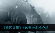 《暗区突围》AUG突击步枪介绍