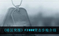 《暗区突围》F2000突击步枪介绍