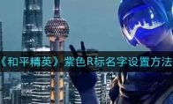 《和平精英》紫色R标名字设置方法