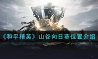 《和平精英》山谷向日葵位置介绍